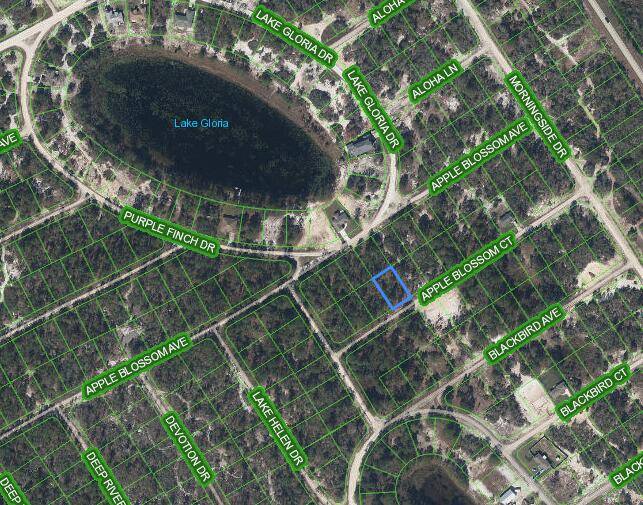 Lake Placid, FL 33852,440 Apple Blossom CT