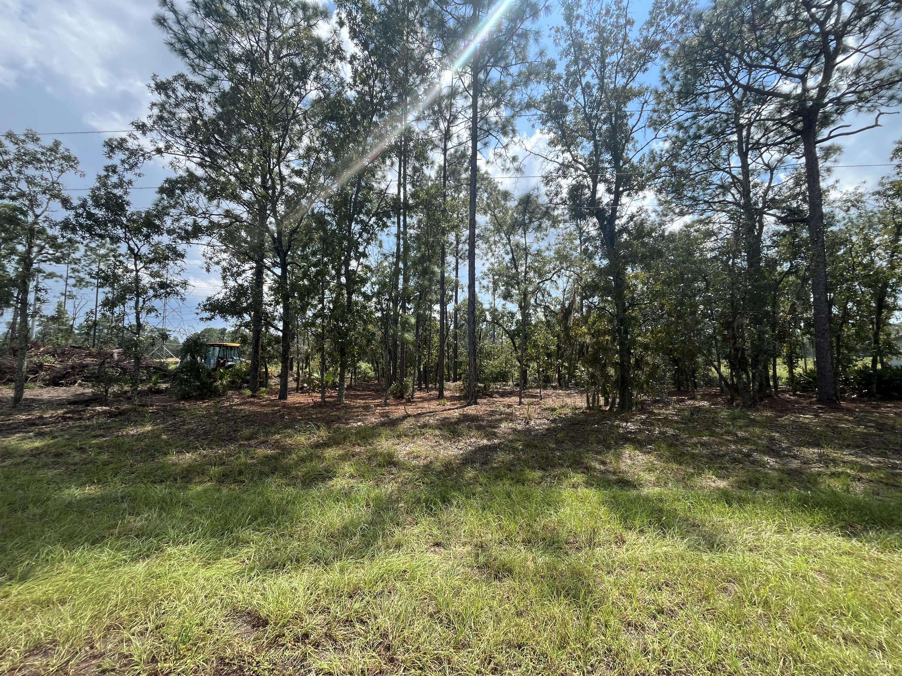 Citrus Springs, FL 34434,764 W Glenhaven DR