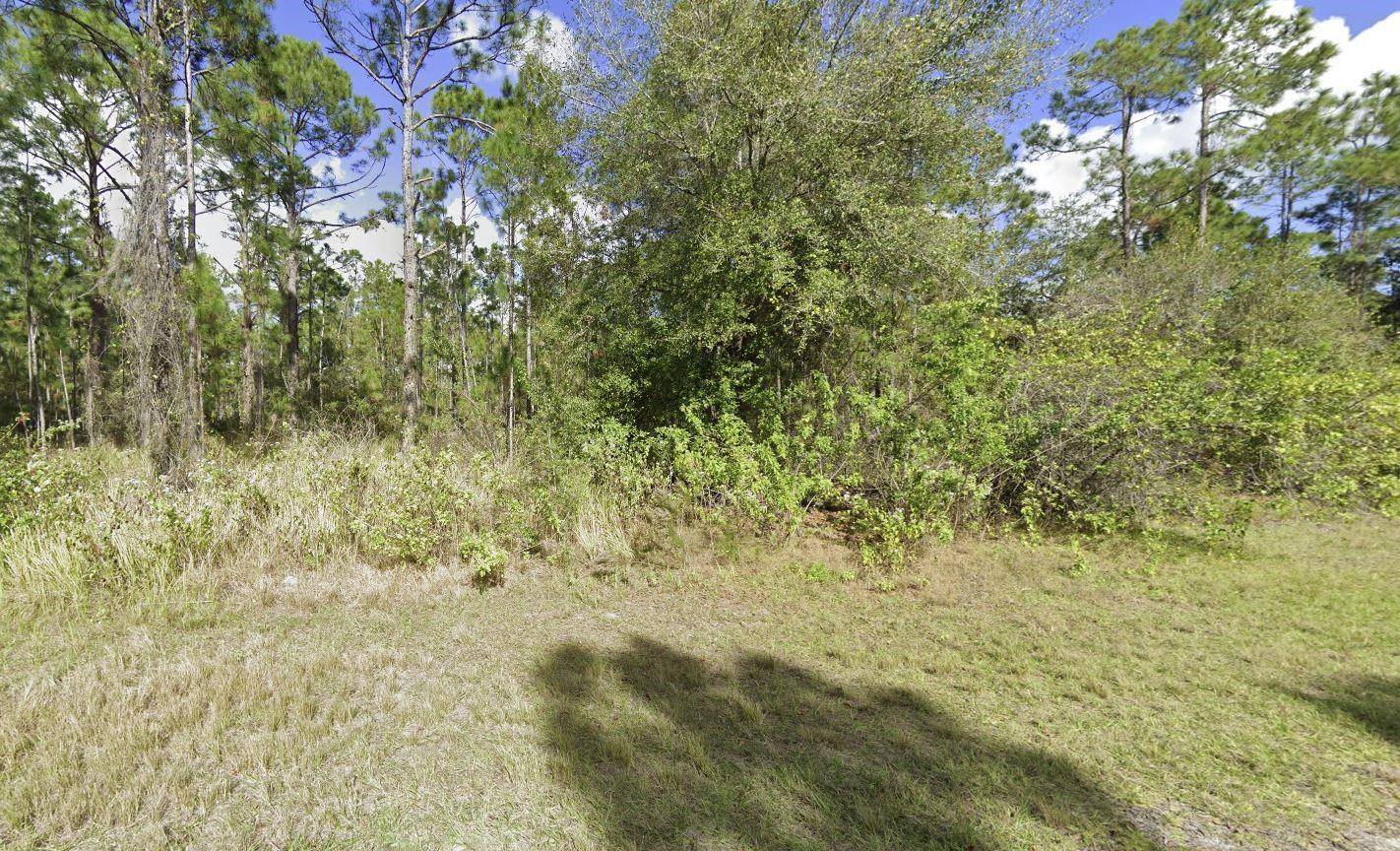 Indian Lake Estates, FL 33855,0 Magnolia DR