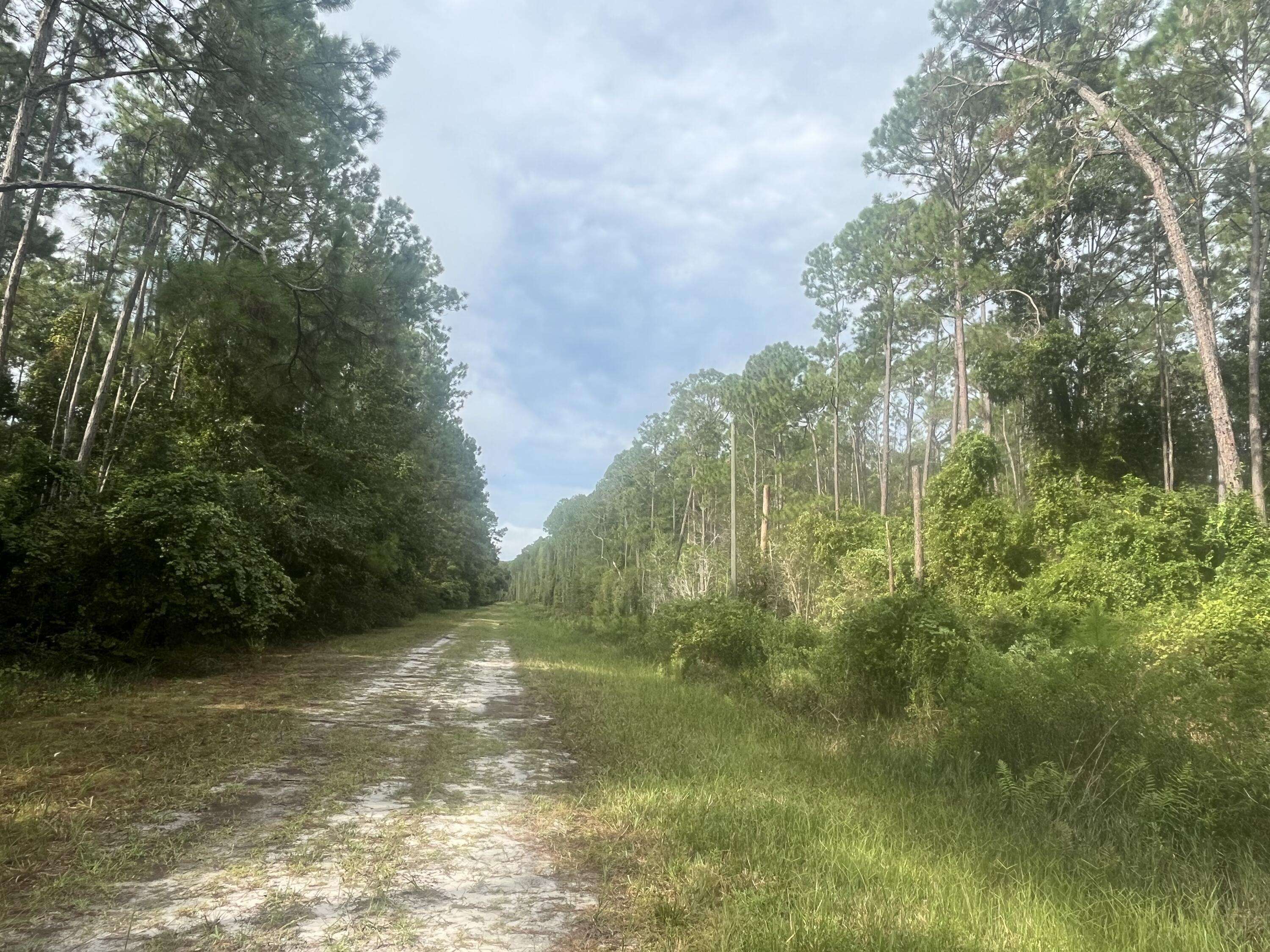 Georgetown, FL 32139,223 SE 2nd ST