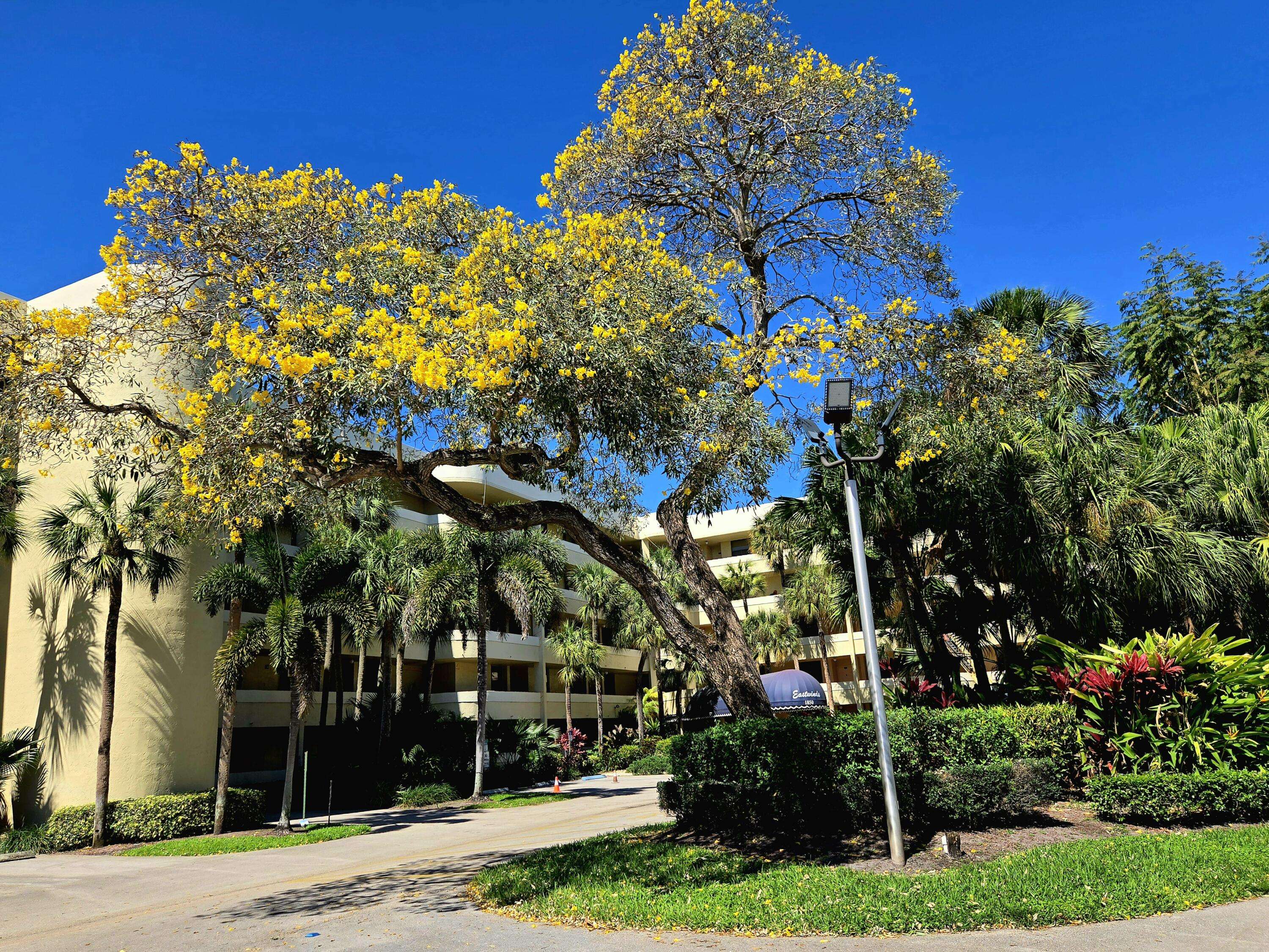 Delray Beach, FL 33445,1850 Homewood BLVD 304