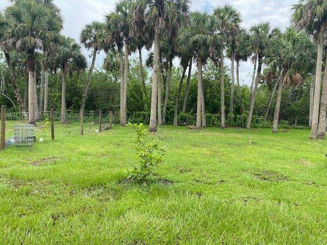 Moore Haven, FL 33471,1100 W Red Barn Rd N
