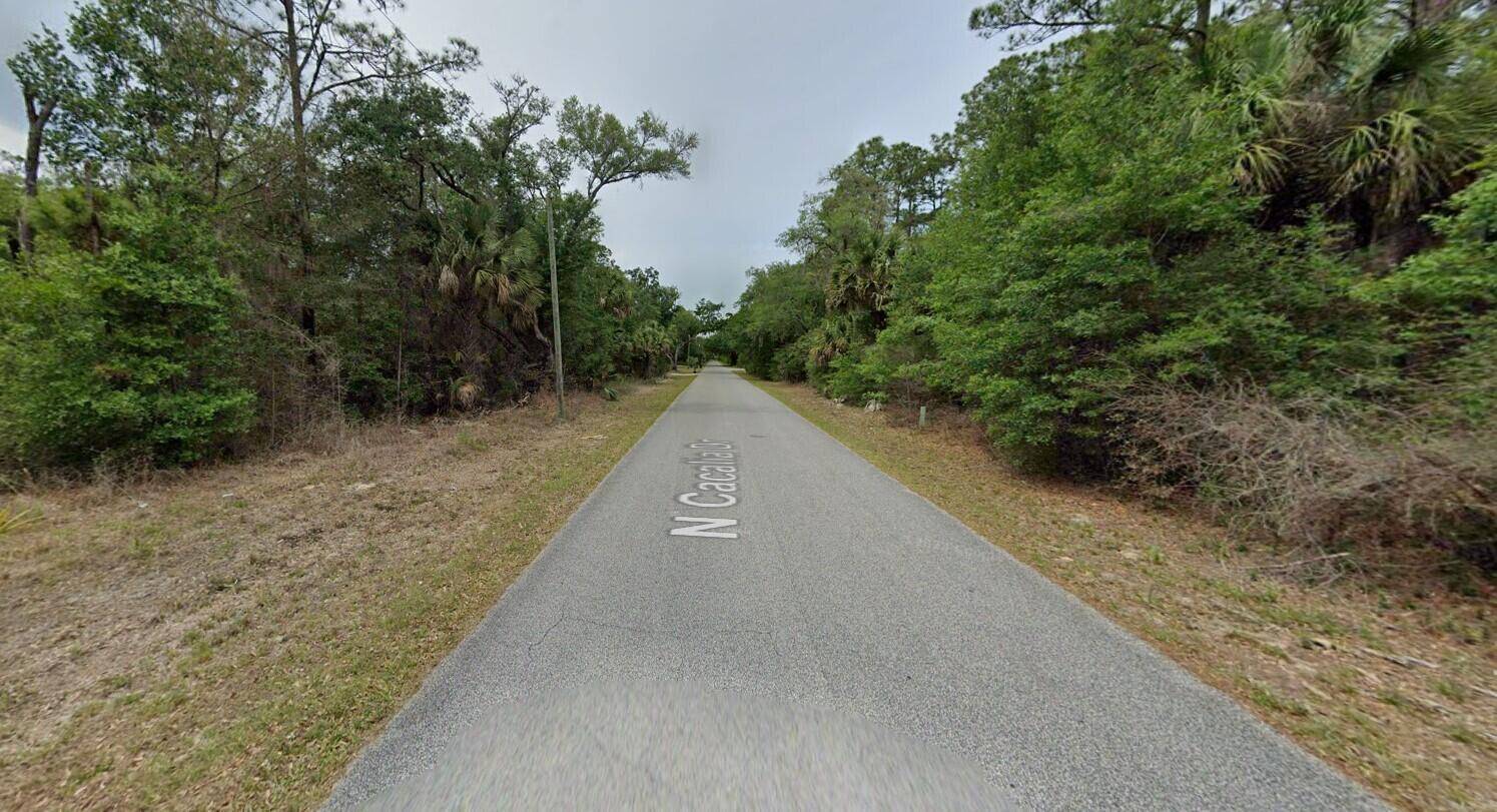 Crystal River, FL 34428,8996 N Cacalia DR