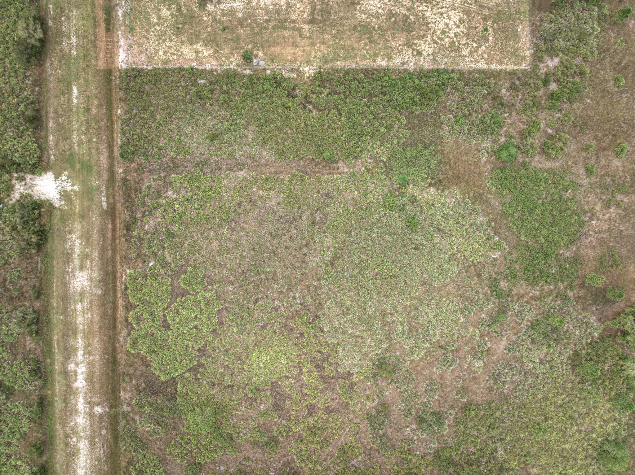 Okeechobee, FL 34972,18279 NW 274th ST