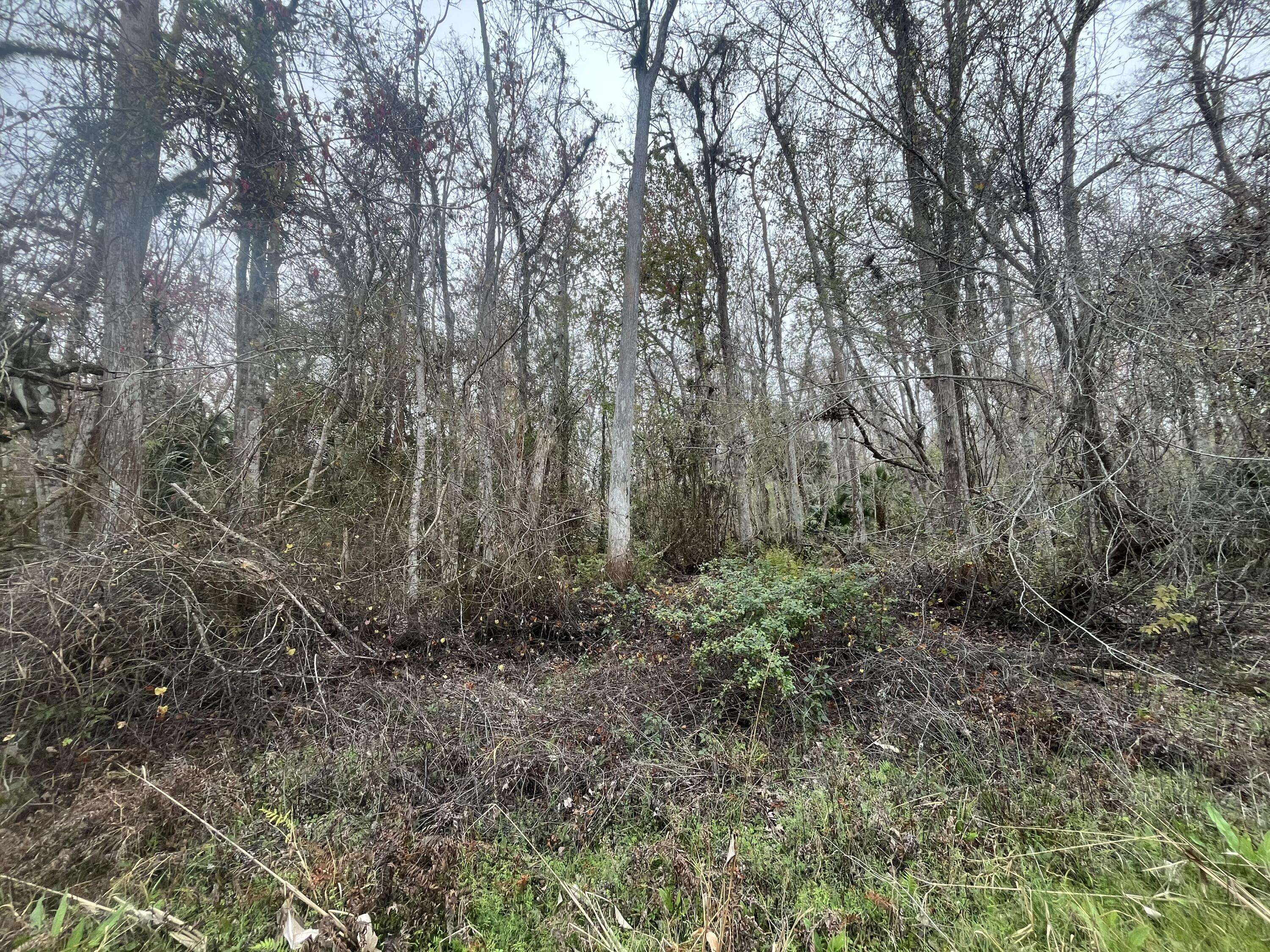 Bunnell, FL 32110,1946 Co Rd 305