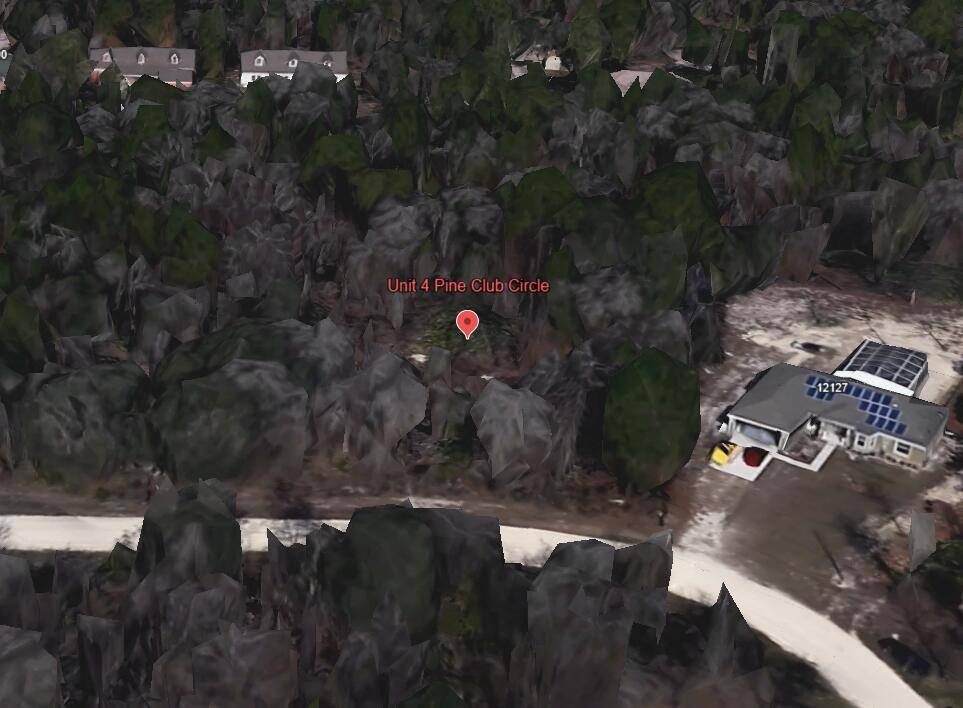 Weeki Wachee, FL 34614,Unit 4 Pine Club CIR 0