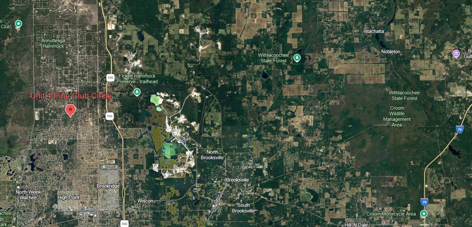 Weeki Wachee, FL 34614,Unit 4 Pine Club CIR 0