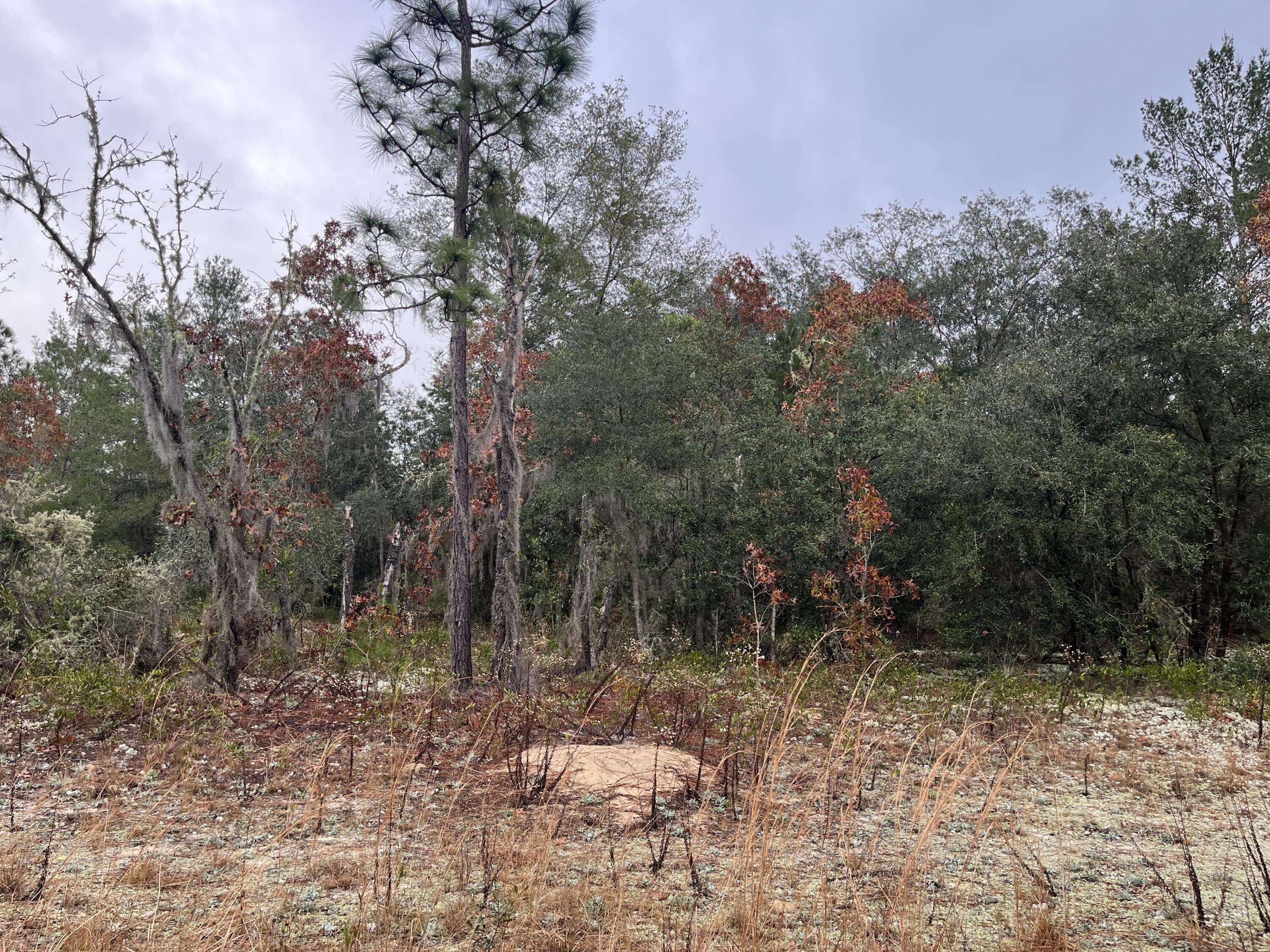 Interlachen, FL 32148,0 Ofarrell AVE