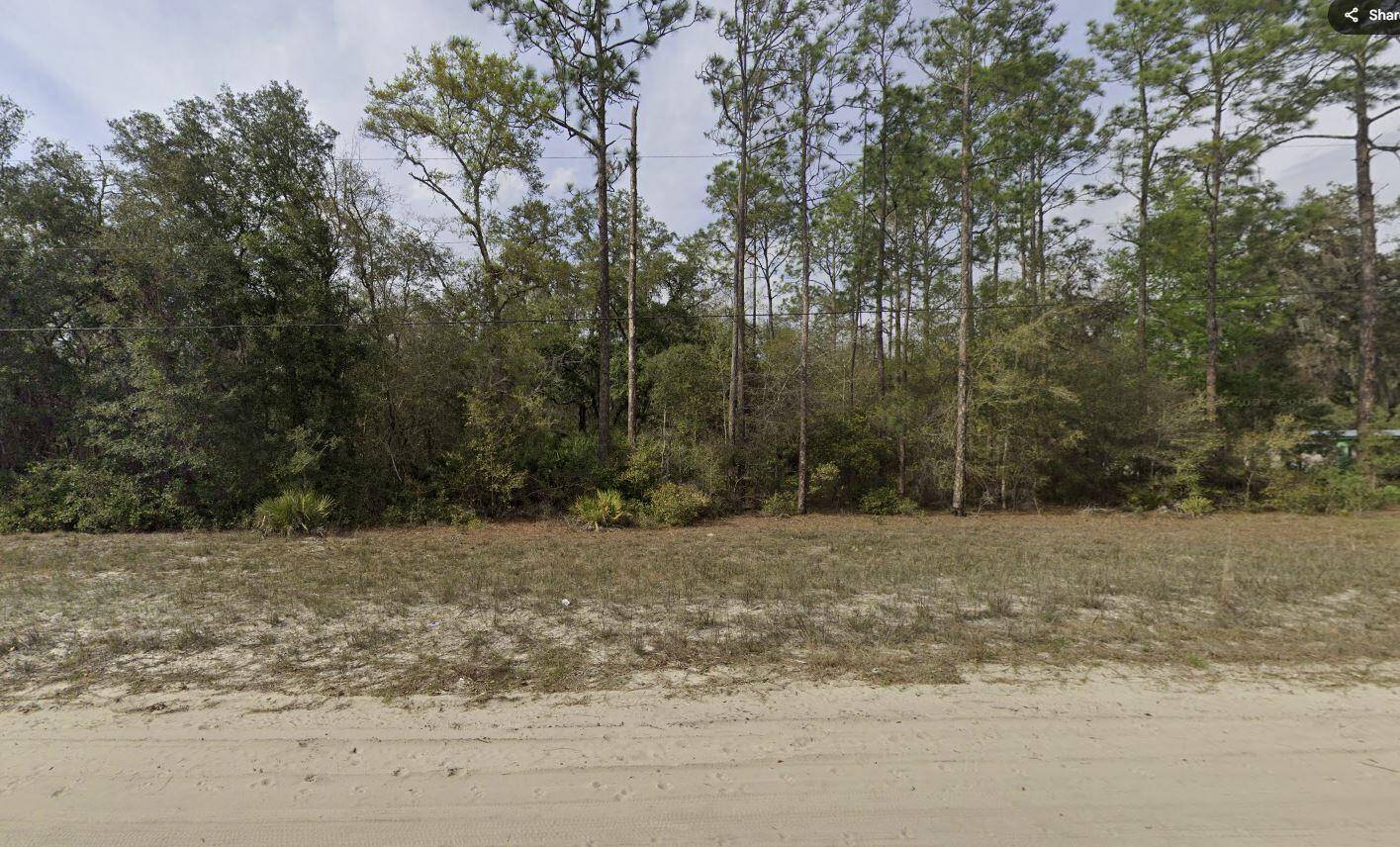 Interlachen, FL 32148,Tbd Hudson ST