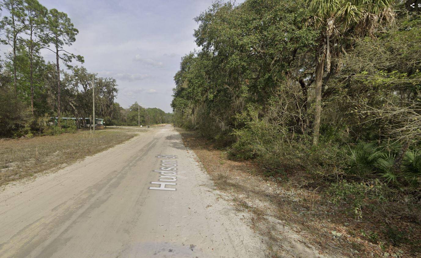 Interlachen, FL 32148,Tbd Hudson ST