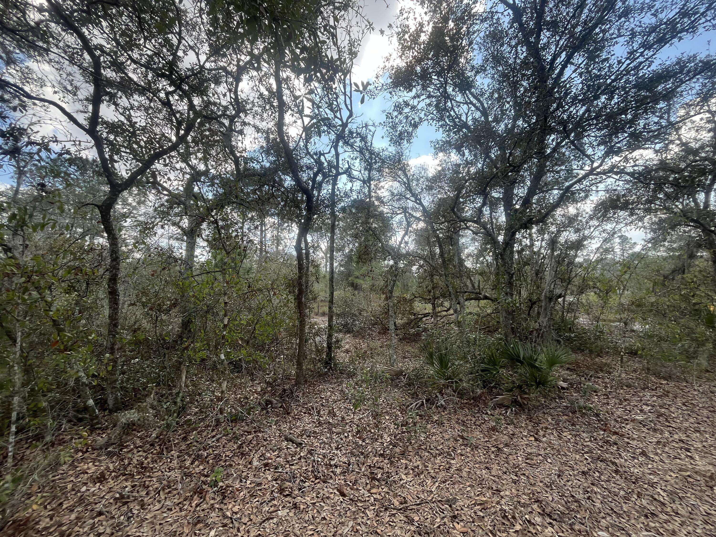 Avon Park, FL 33825,2925 W Bandra RD