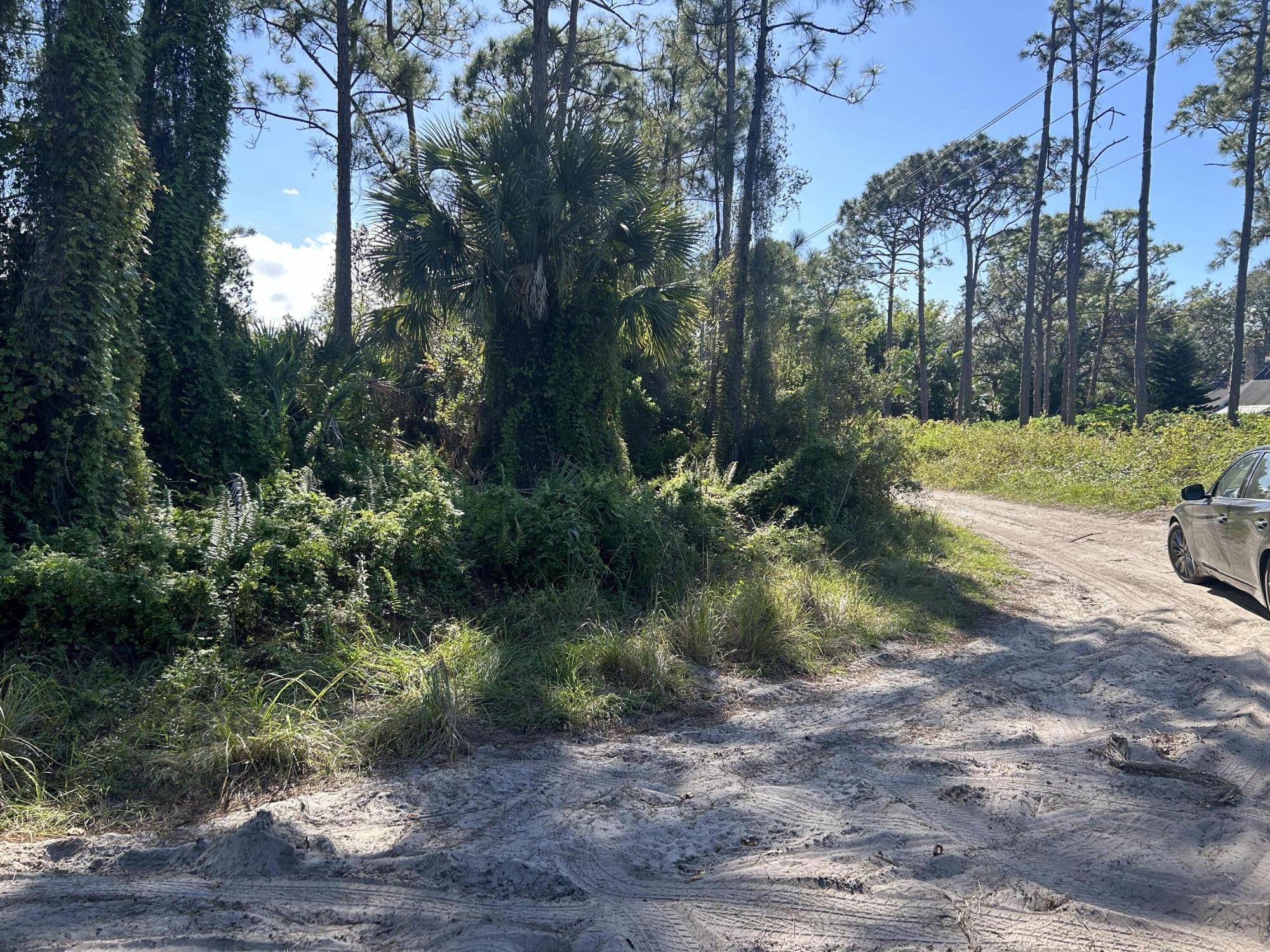Fort Pierce, FL 34945,0 Slash Pine TRL