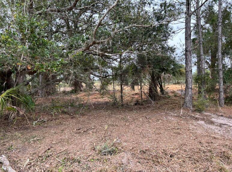 Okeechobee, FL 34972,16111 NW 310th ST