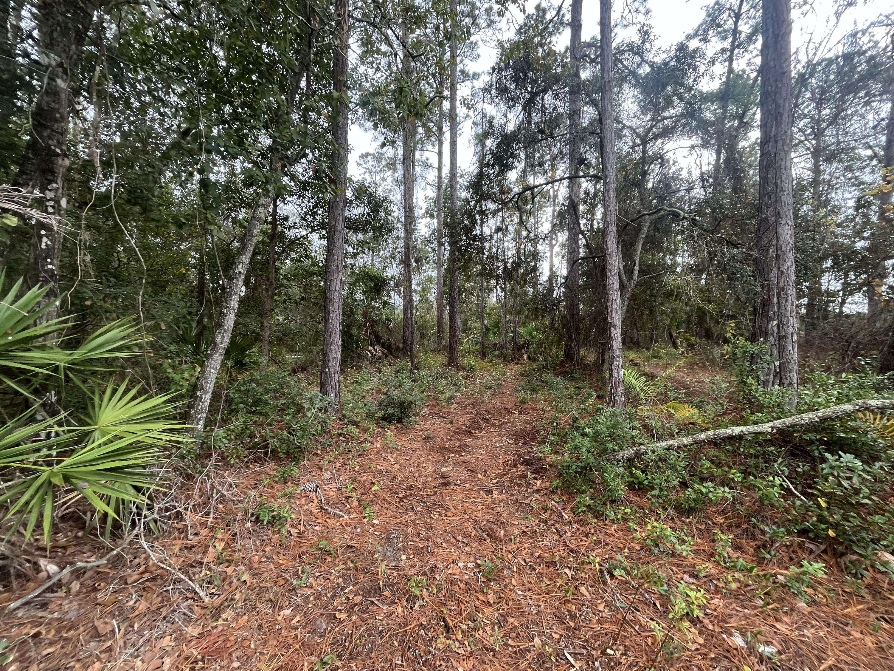 Interlachen, FL 32148,Tbd Susan ST