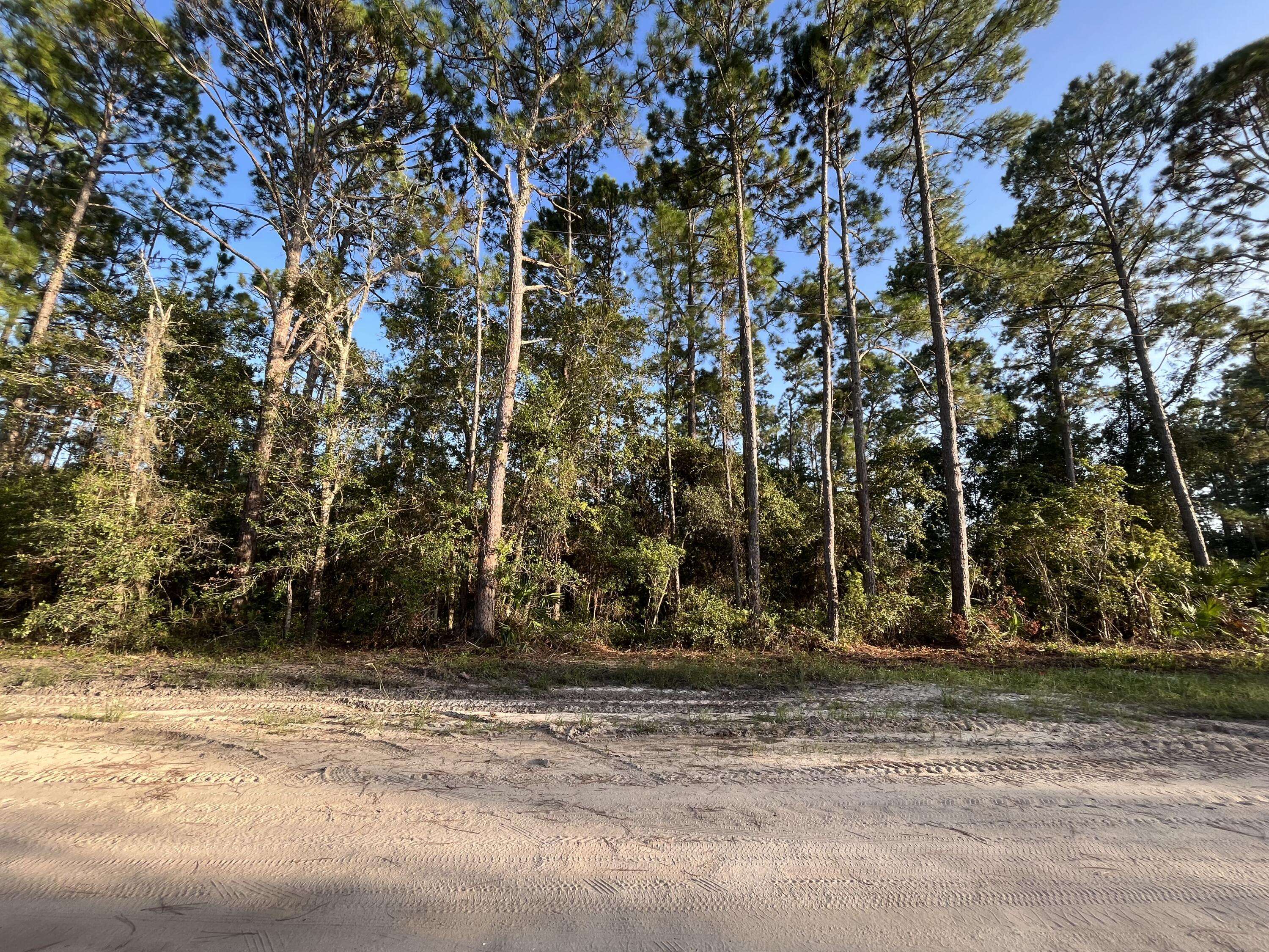 Interlachen, FL 32148,Tbd Susan ST