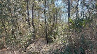 Interlachen, FL 32148,111 Hickory CIR