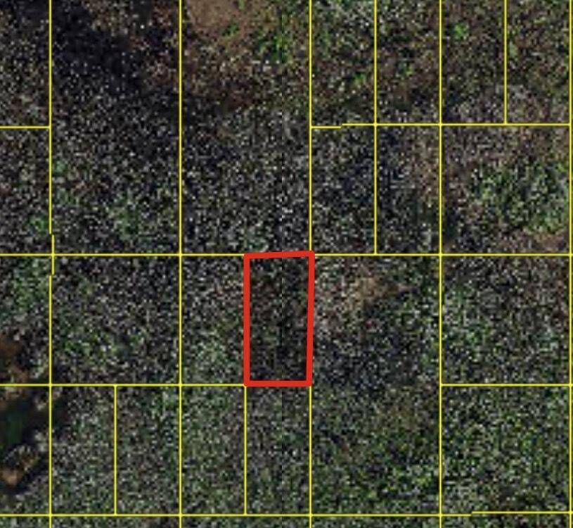 St. Cloud, FL 34771,0 Holopaw Groves RD