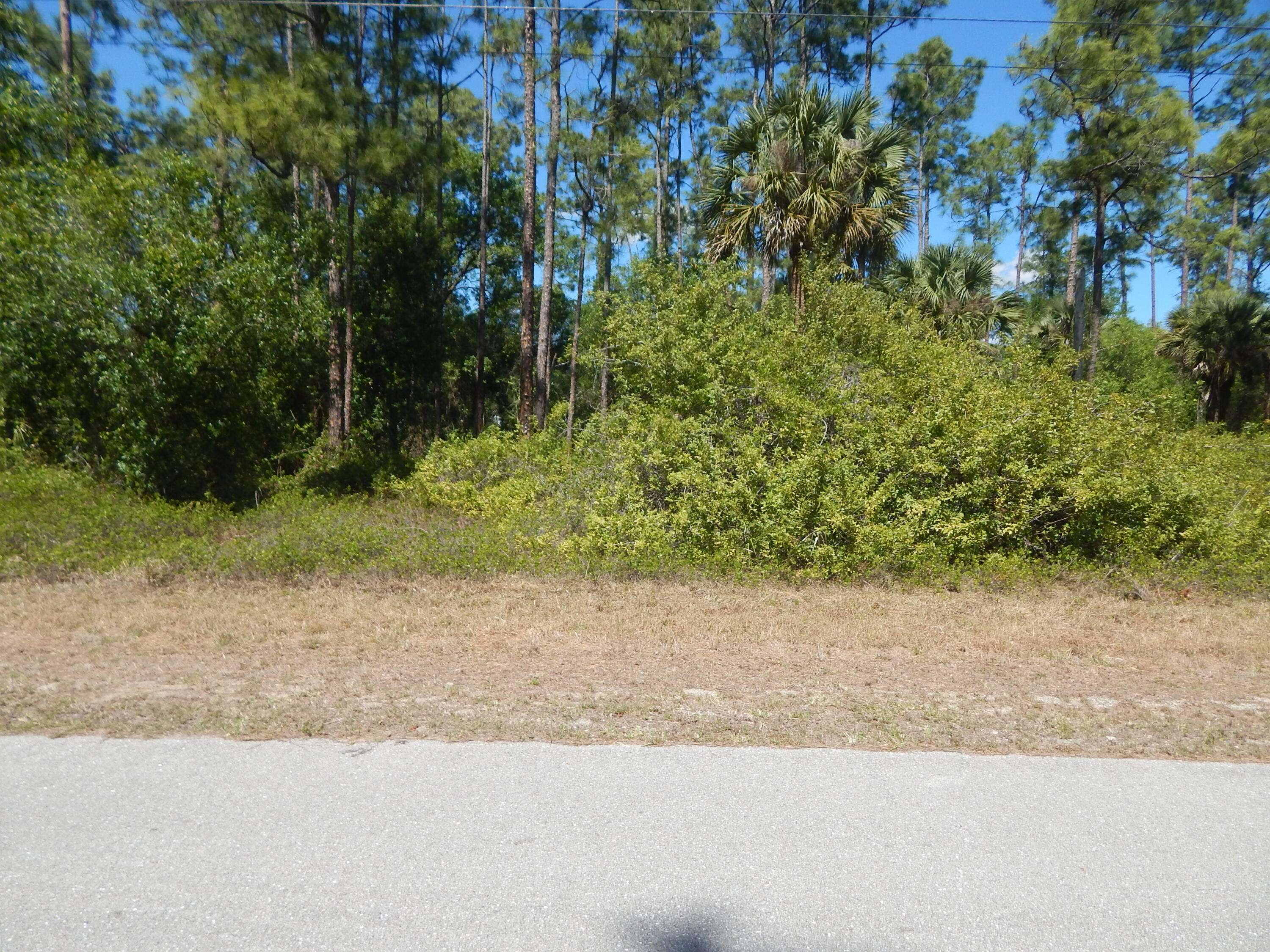 Lehigh Acres, FL 33974,1047 E Asther ST