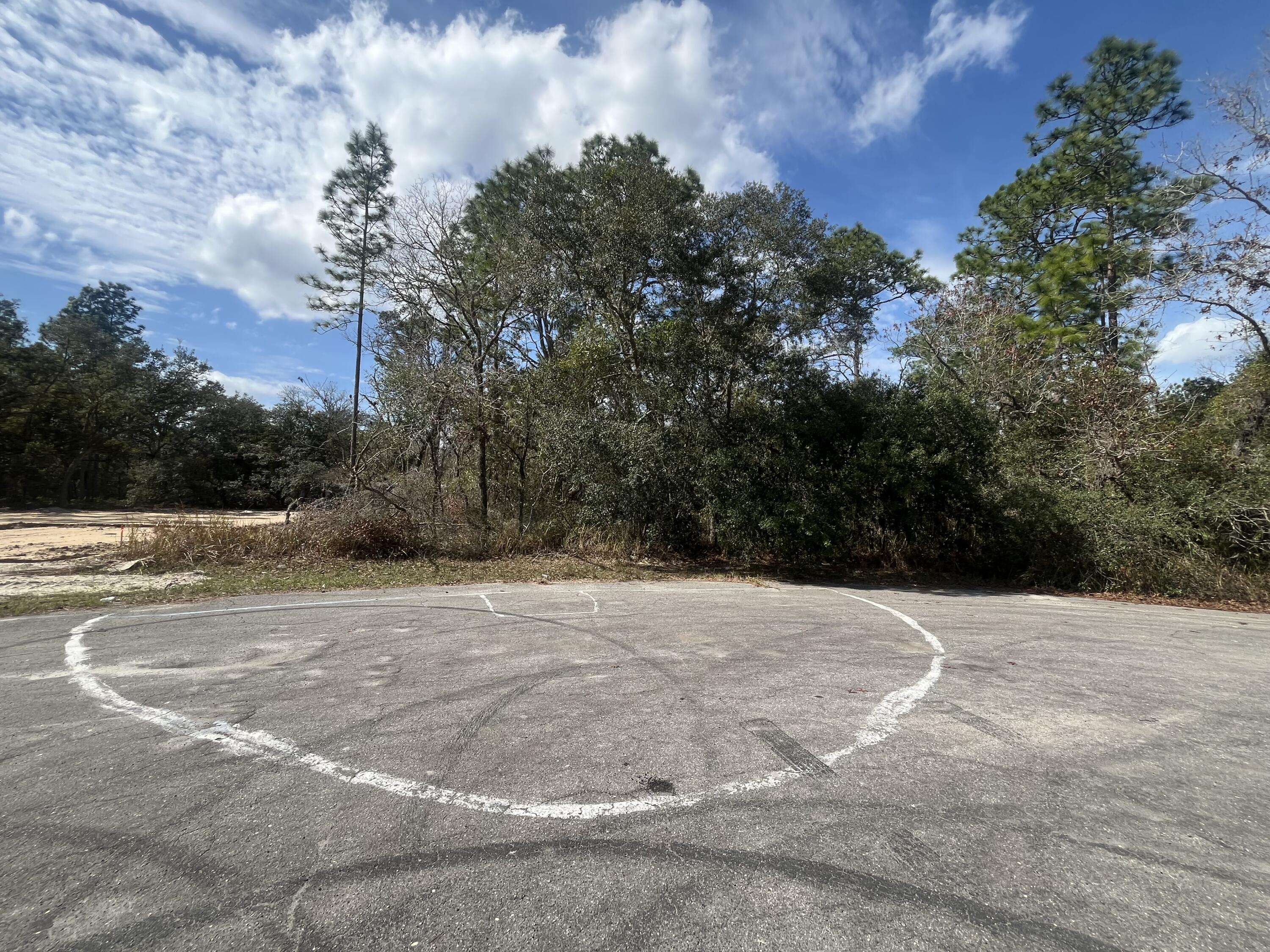 Dunnellon, FL 34432,0 SW 151st LOOP