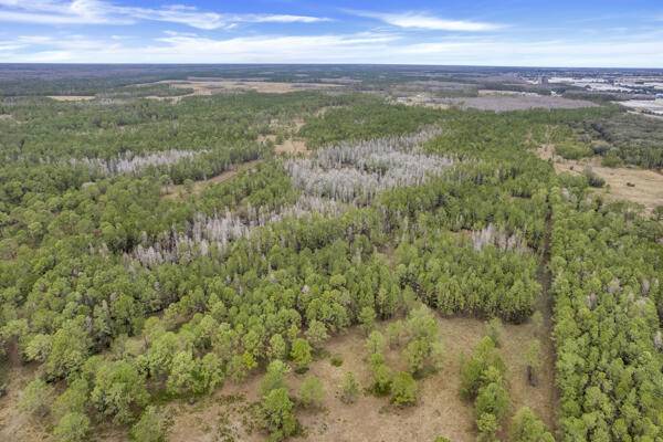 Polk City, FL 33868,000 No Street