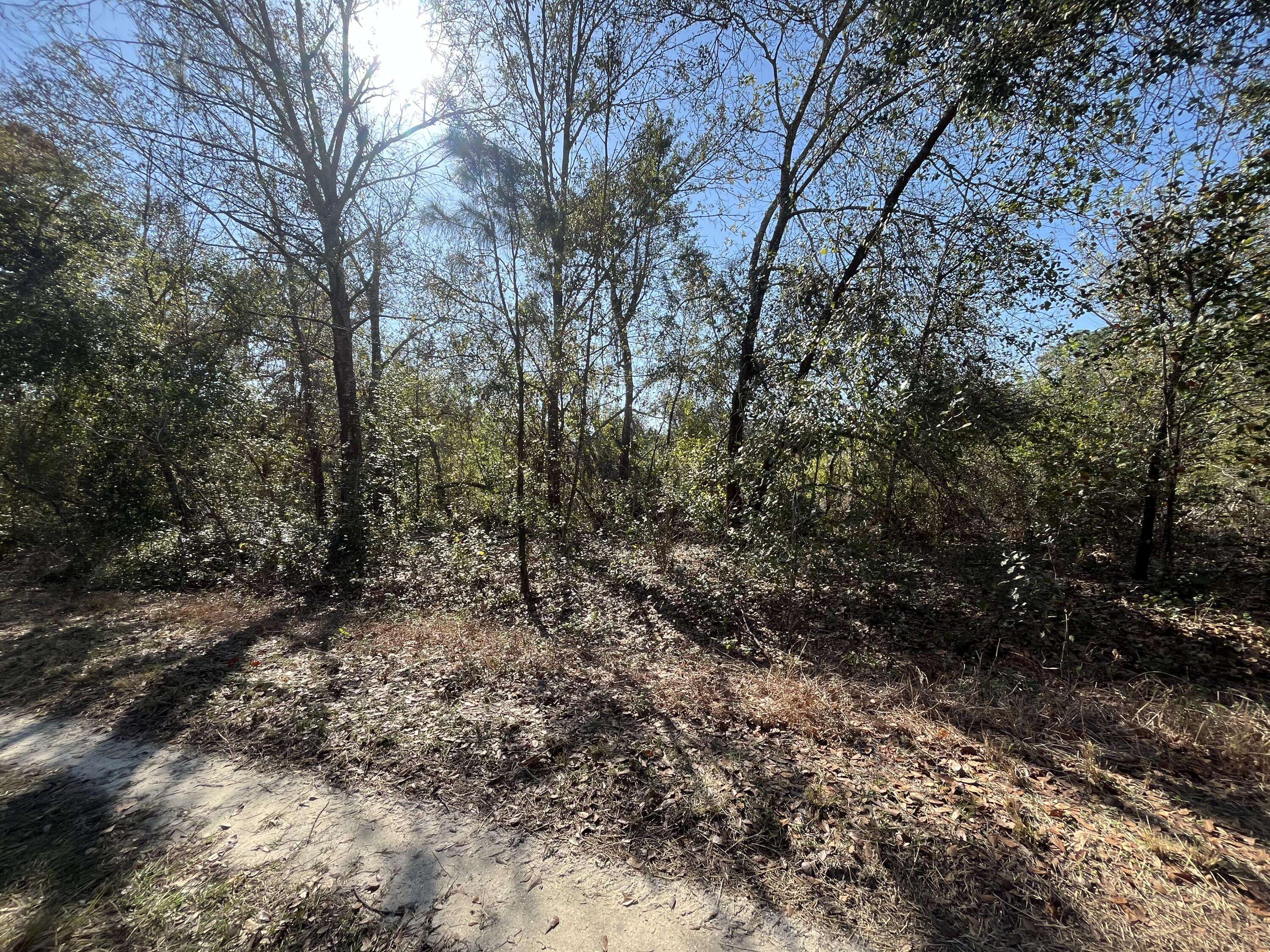 Lake Placid, FL 33852,755 Lynbrook
