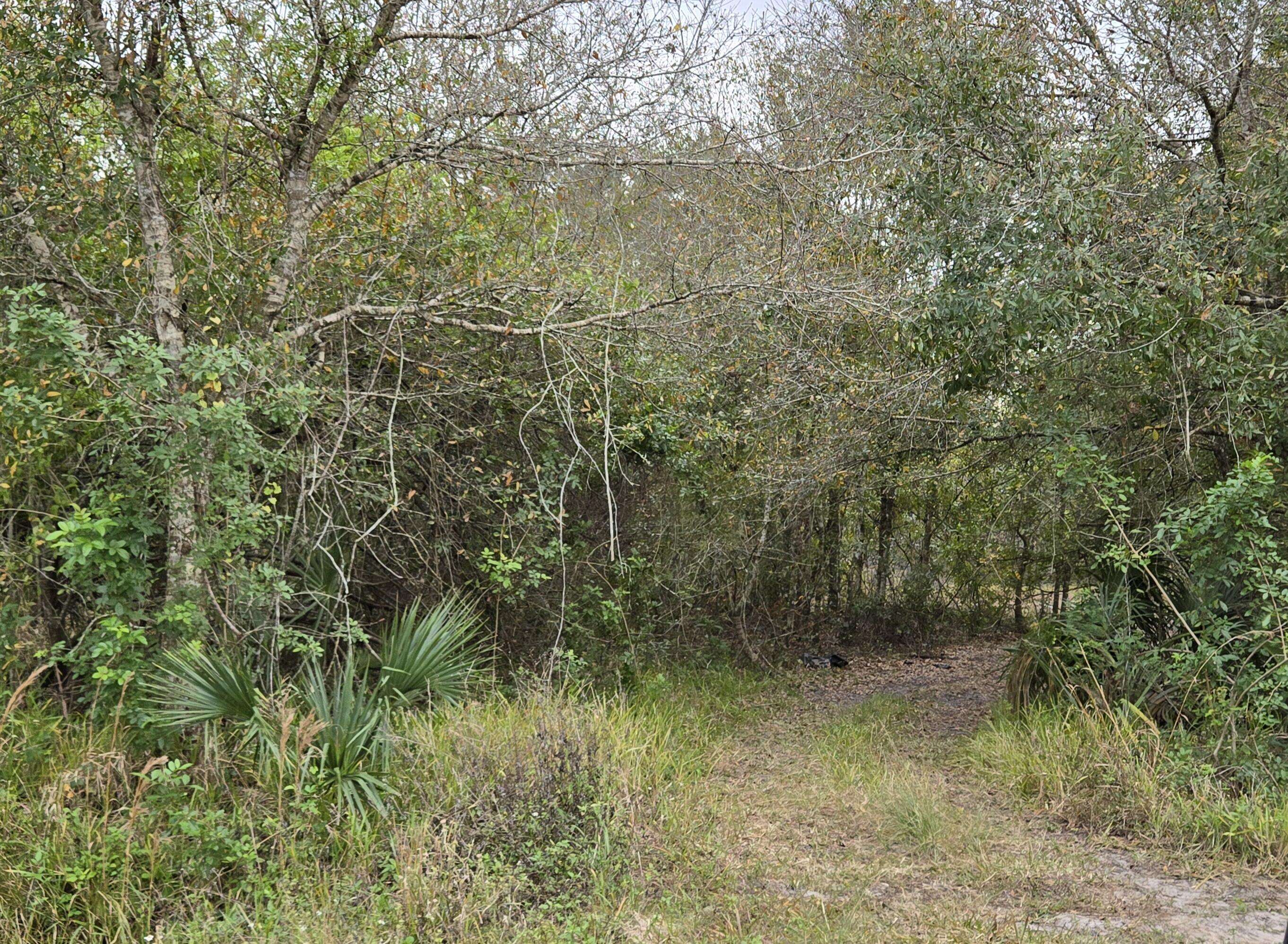Okeechobee, FL 34972,7884 NW 87th CT