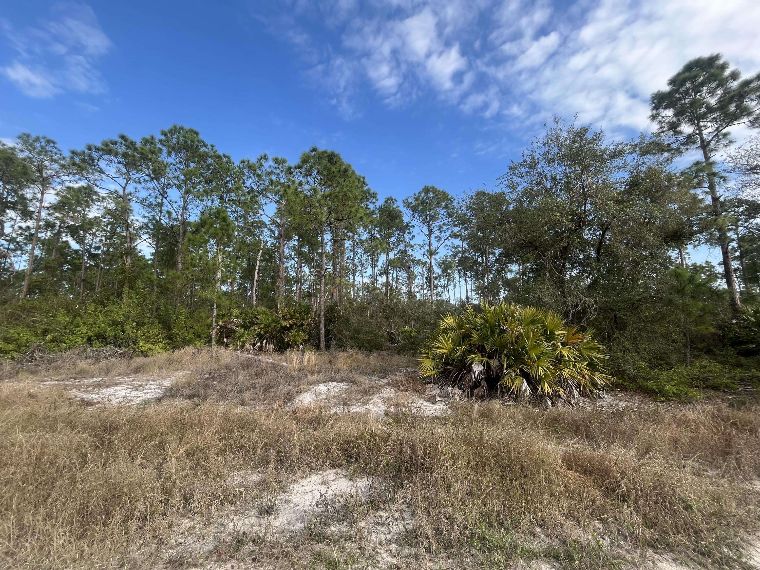 Labelle, FL 33935,7602 18th PL