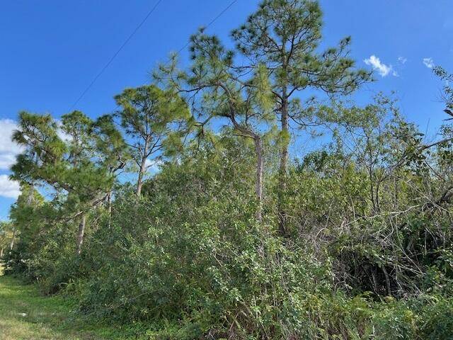 Loxahatchee, FL 33470,''17992'' N 94th ST