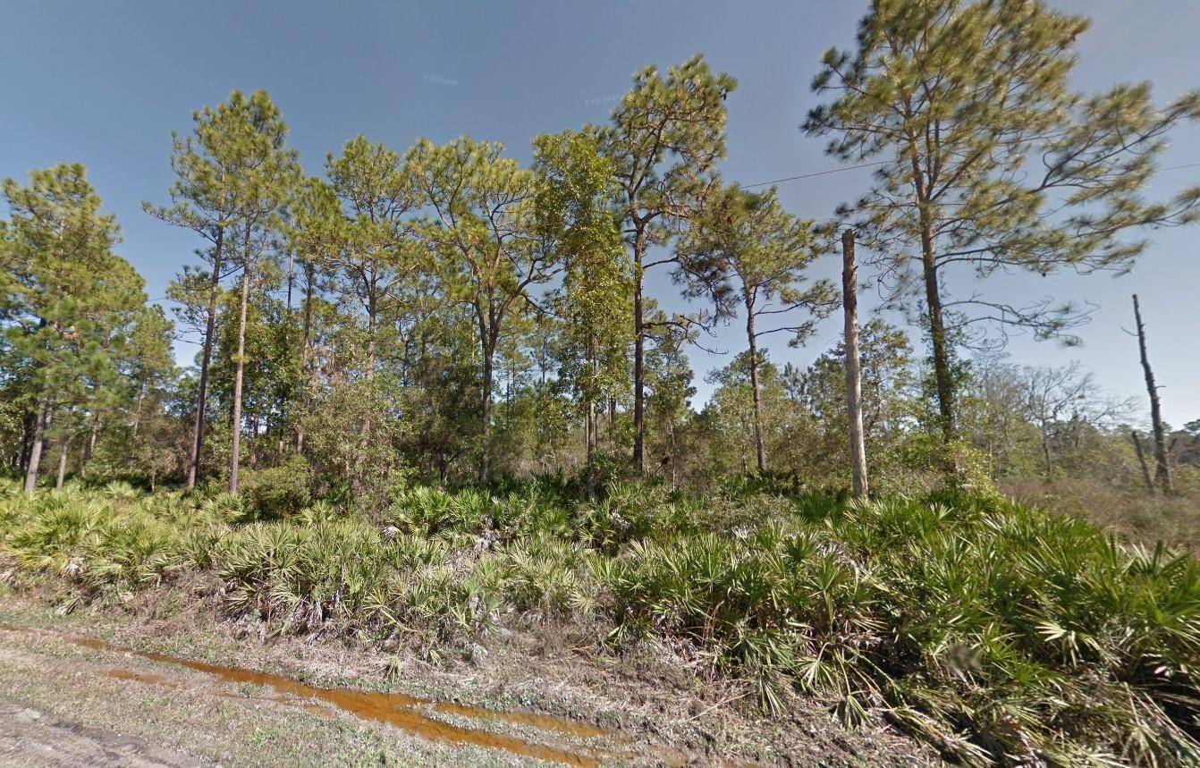 Interlachen, FL 32148,206 Royal AVE