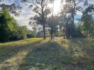 Lake Placid, FL 33852,500 Serenade TER