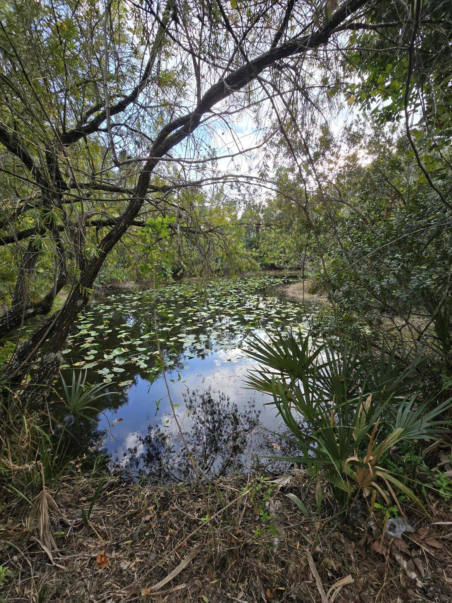 Micco, FL 32976,0000 Fleming Grant Road
