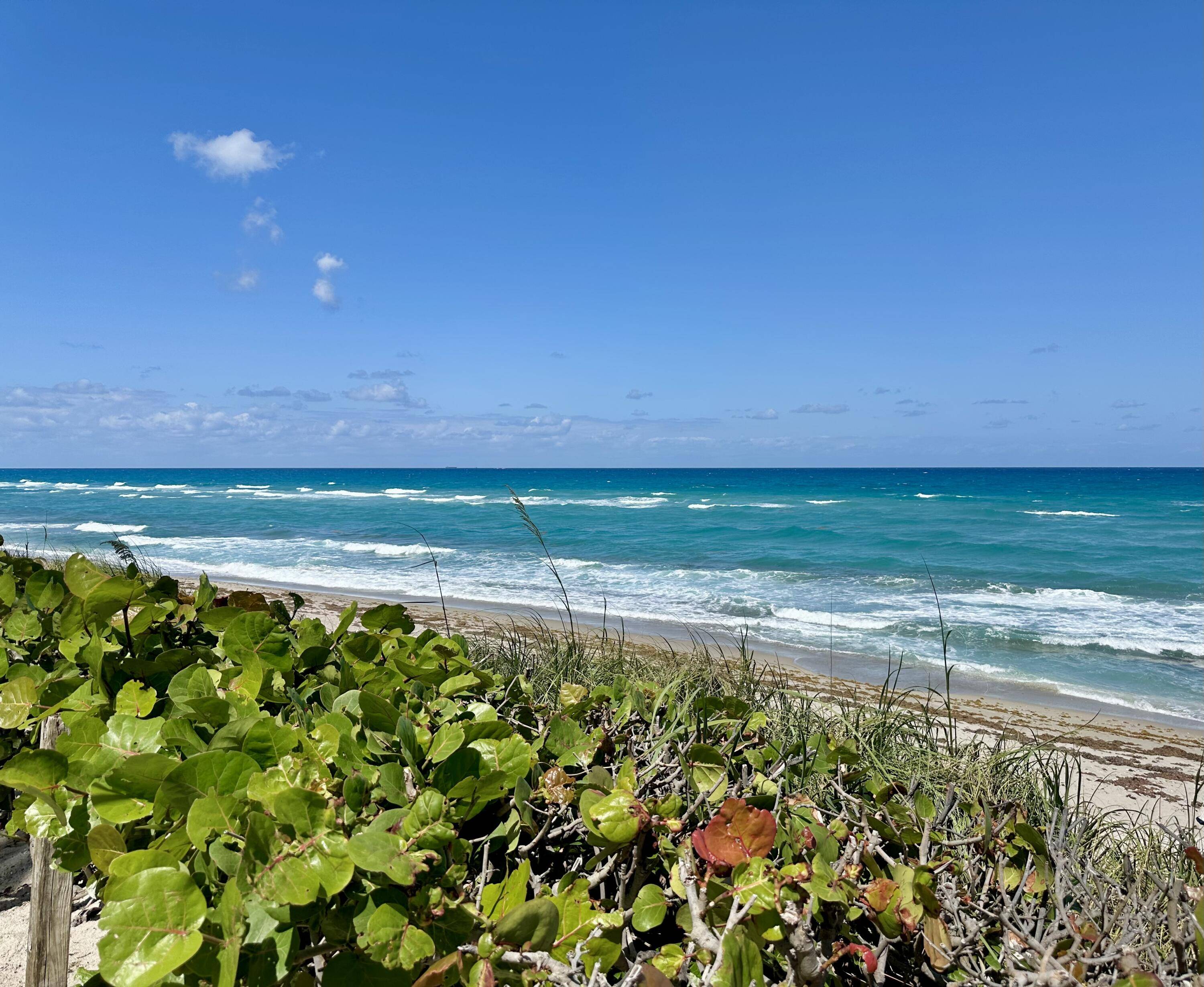 Singer Island, FL 33404,5480 N Ocean DR B1c