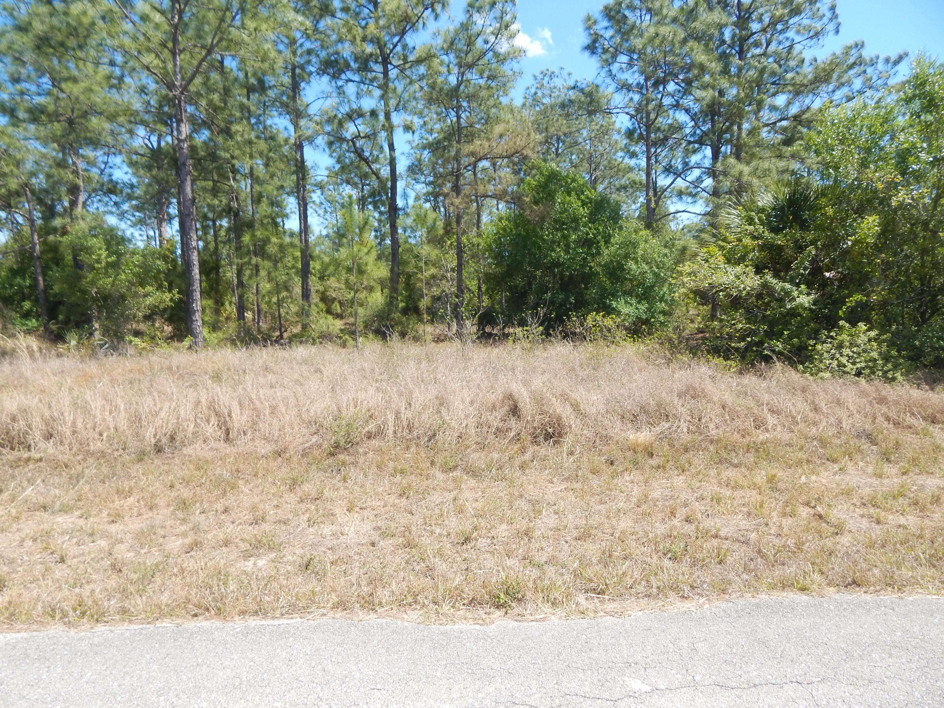 Lehigh Acres, FL 33972,1420 Roosevelt AVE