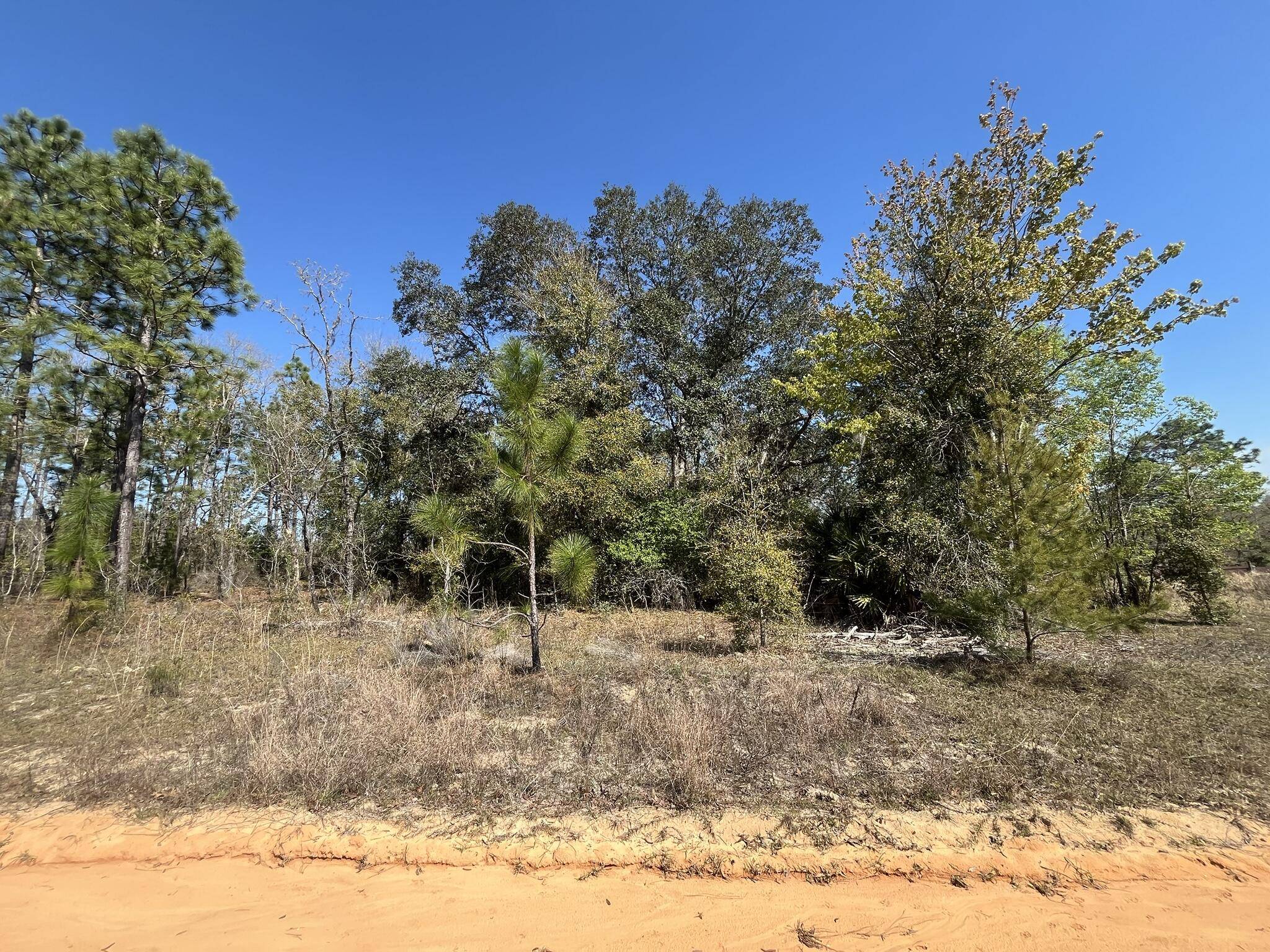 Interlachen, FL 32148,140 Hudson TRL