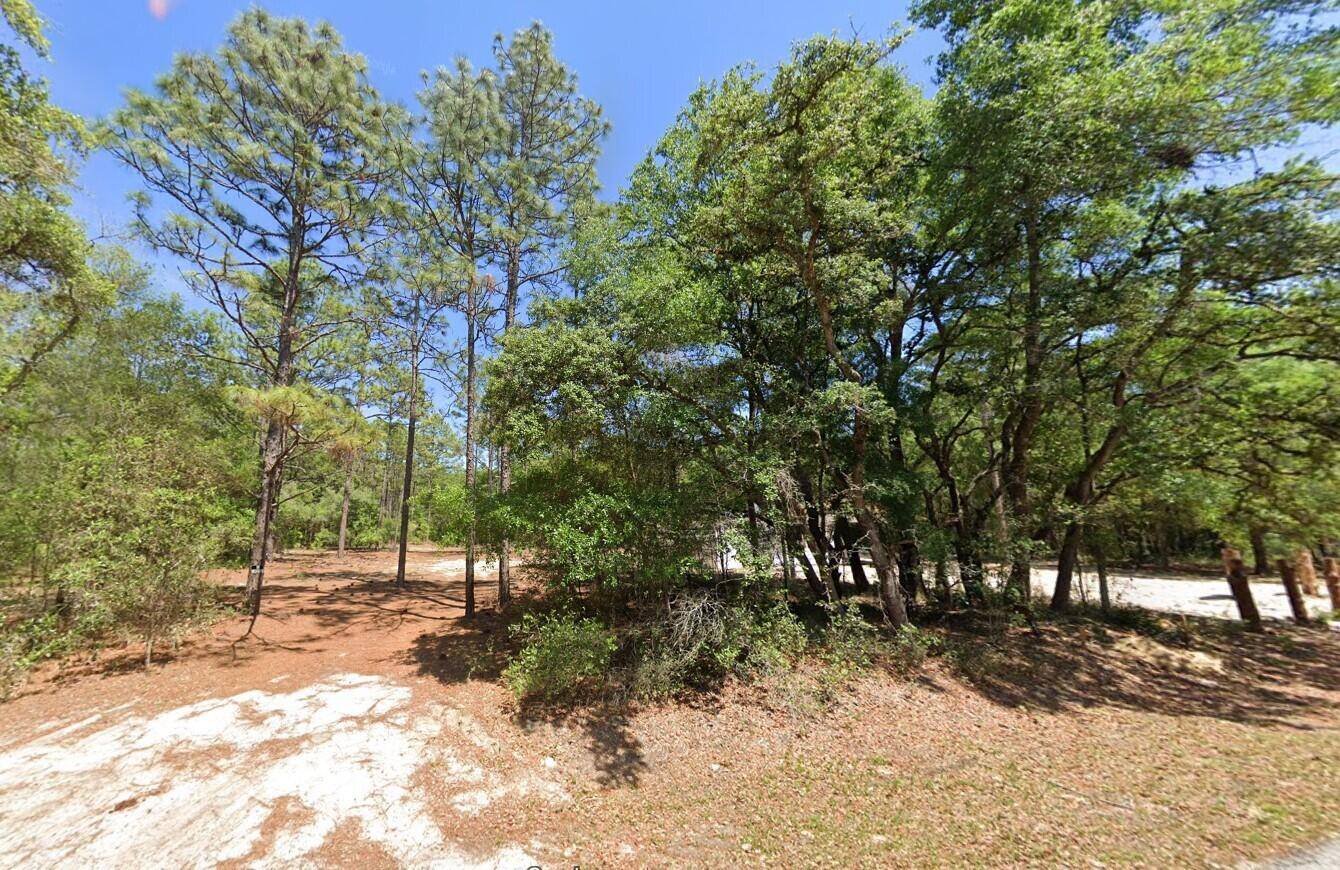 Dunnellon, FL 34431,0 204th