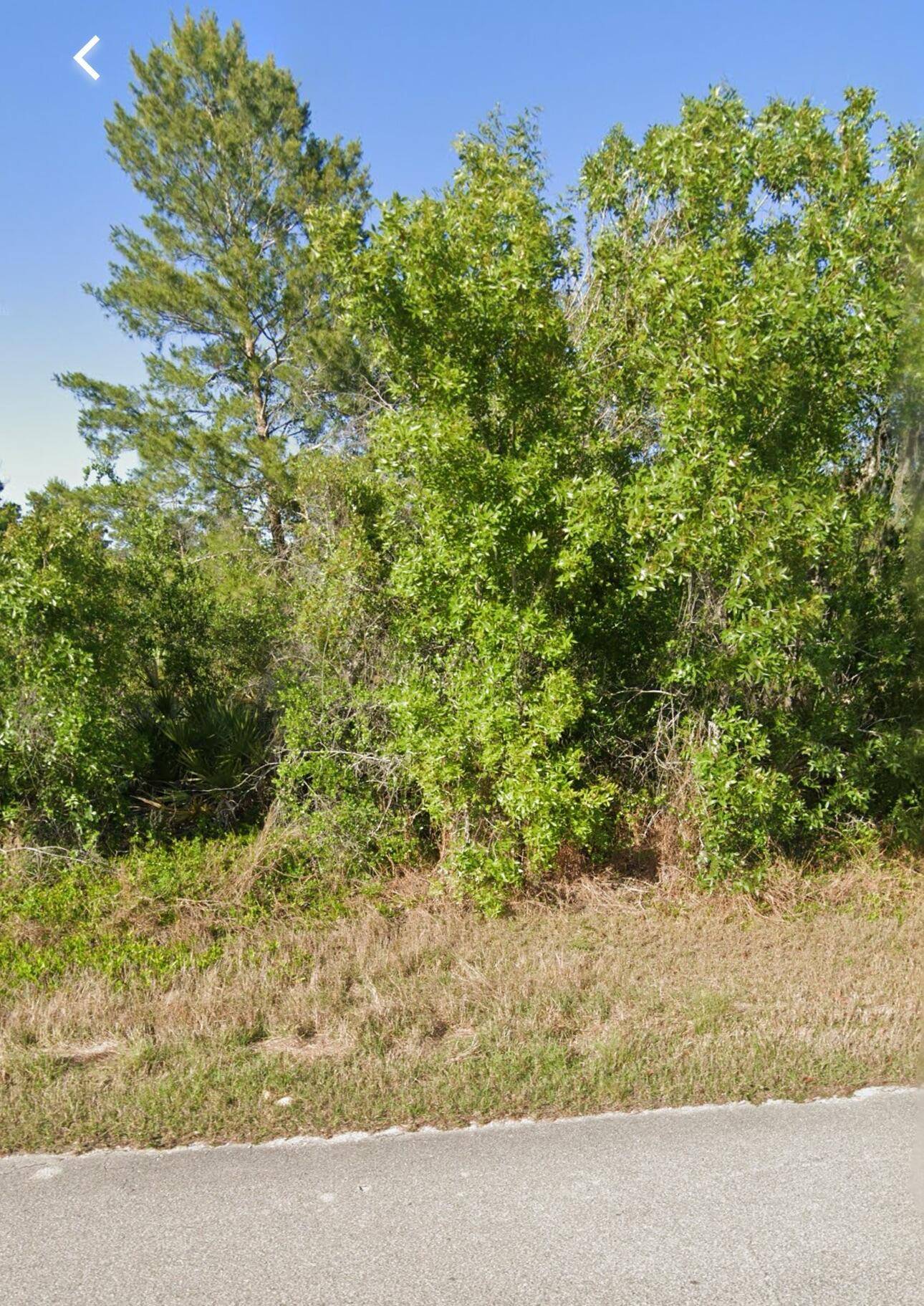 Lake Placid, FL 33852,110 Devoe AVE