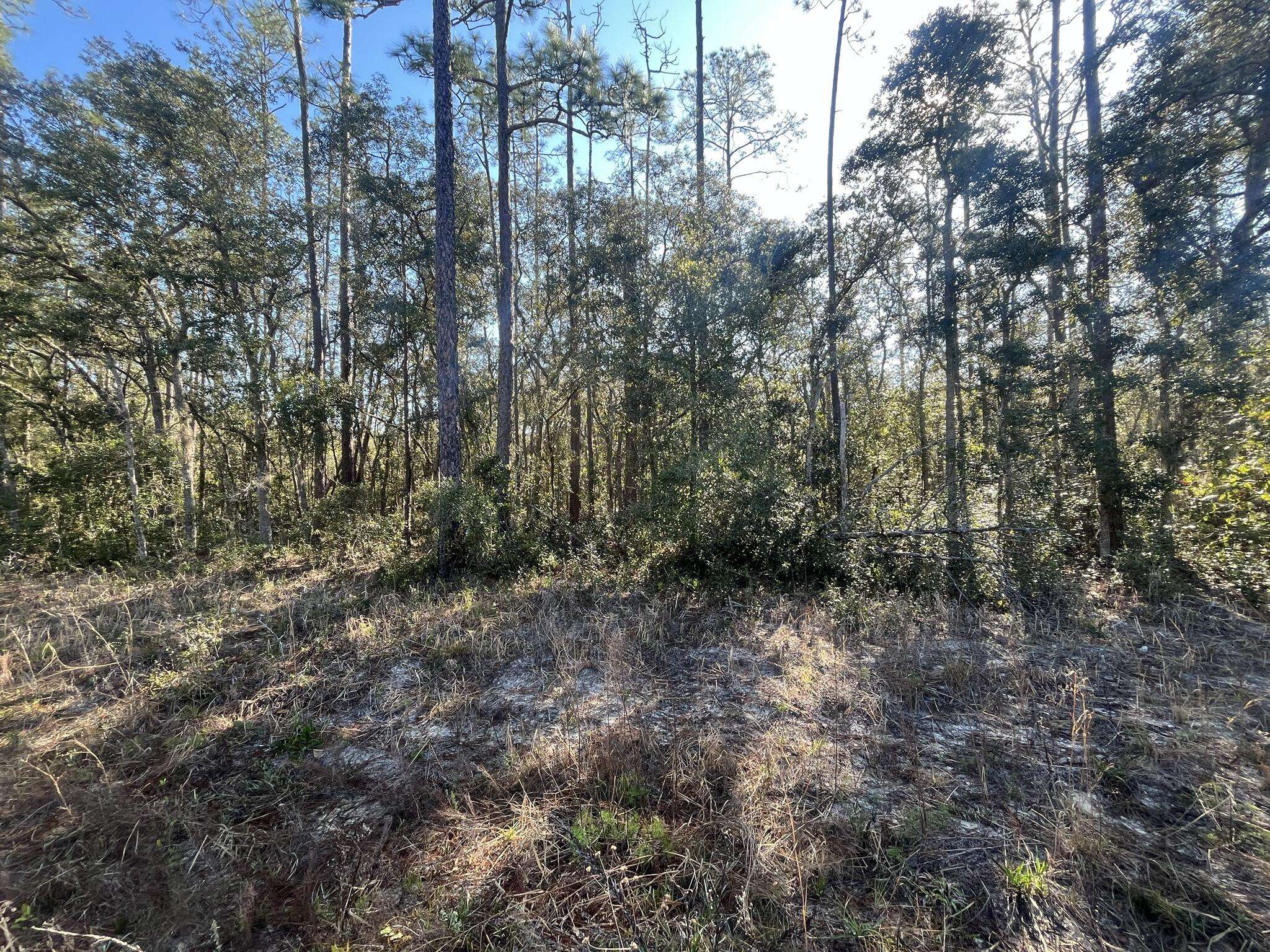 Interlachen, FL 32148,Tbd Banks