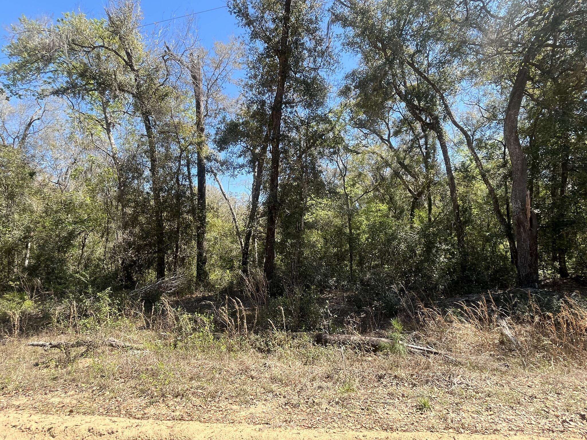 Interlachen, FL 32148,Tbd Walker DR