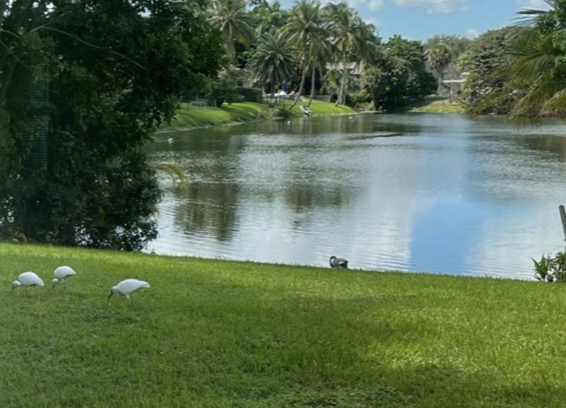 Boca Raton, FL 33486,299 NW 10th CT
