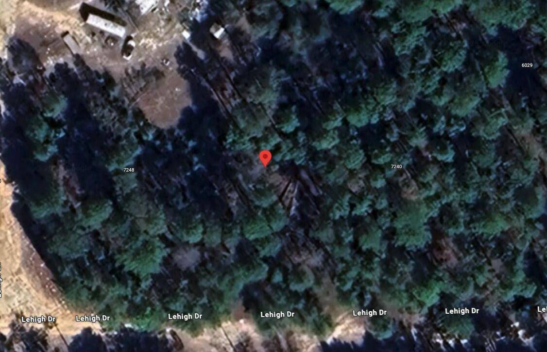 Keystone Heights, FL 32656,7244 Lehigh DR