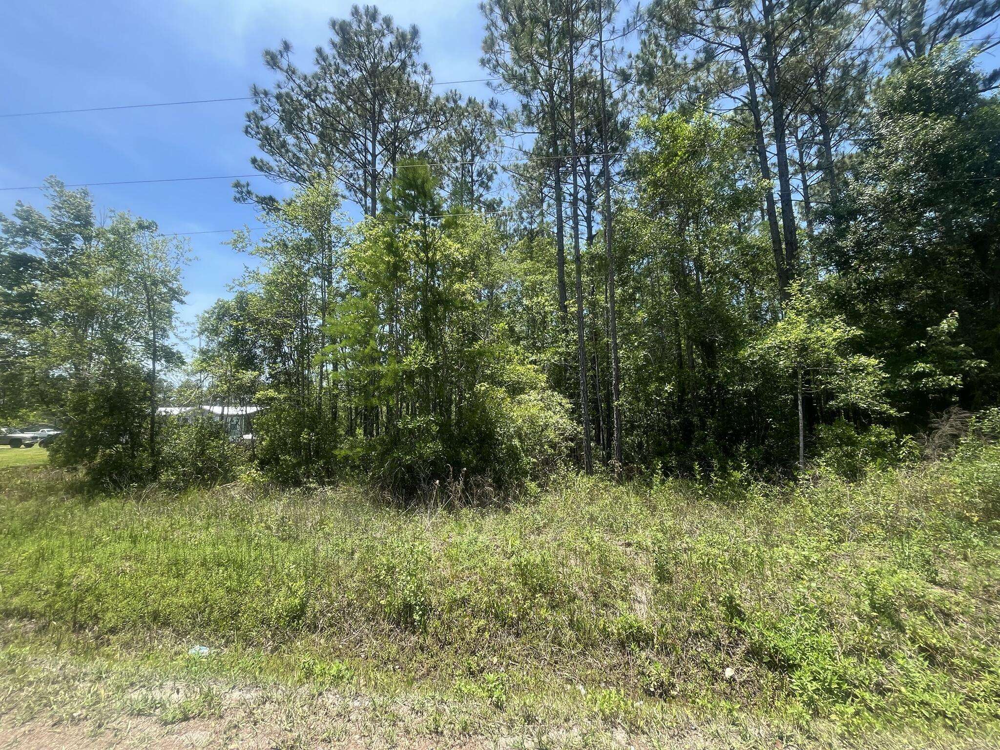 Hastings, FL 32145,10445 Amos AVE