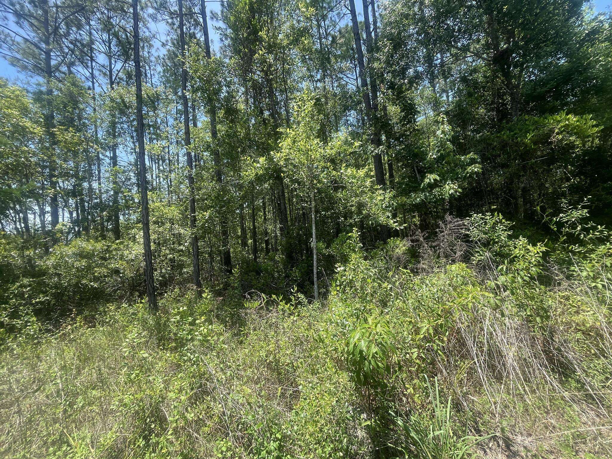 Hastings, FL 32145,10445 Amos AVE