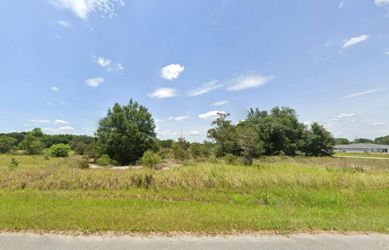 Ocala, FL 34472,0 Locust 2