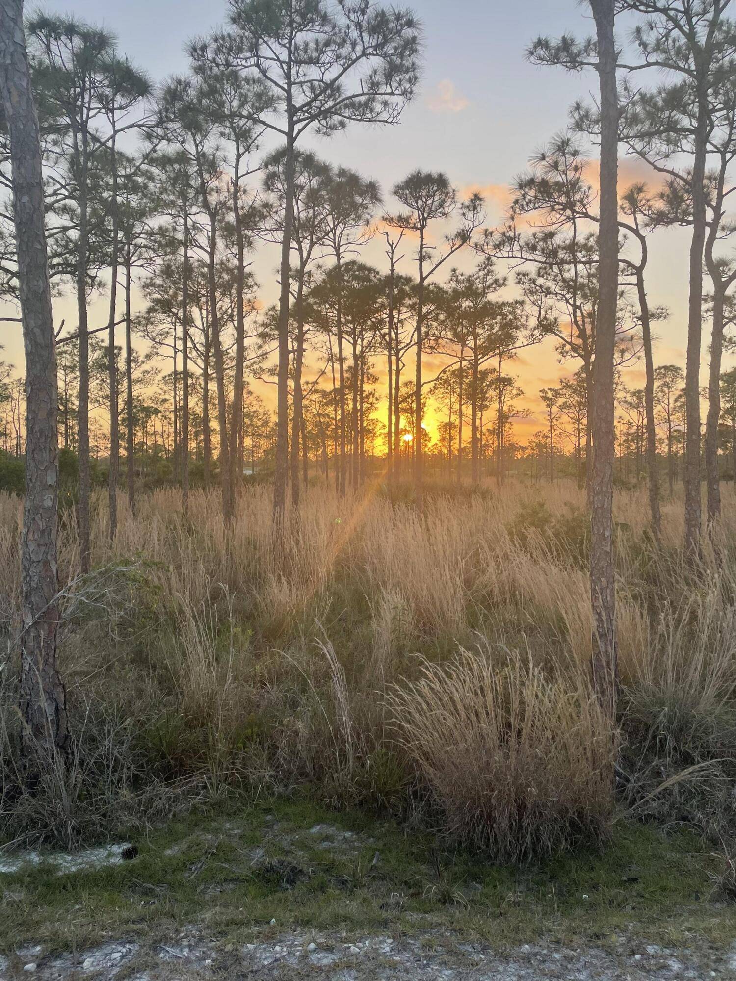 Hobe Sound, FL 33455,0 SE Poinciana