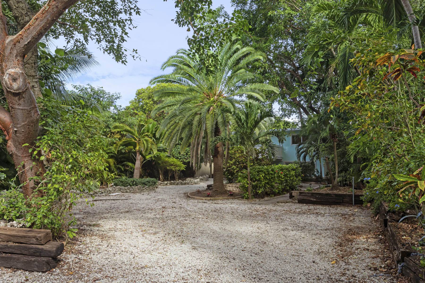 Islamorada, FL 33036,82260 Overseas HWY