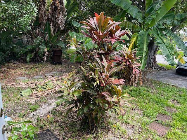 West Palm Beach, FL 33401,2023 Delphia ST