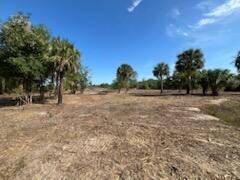 Okeechobee, FL 34972,16642 NW 286th ST