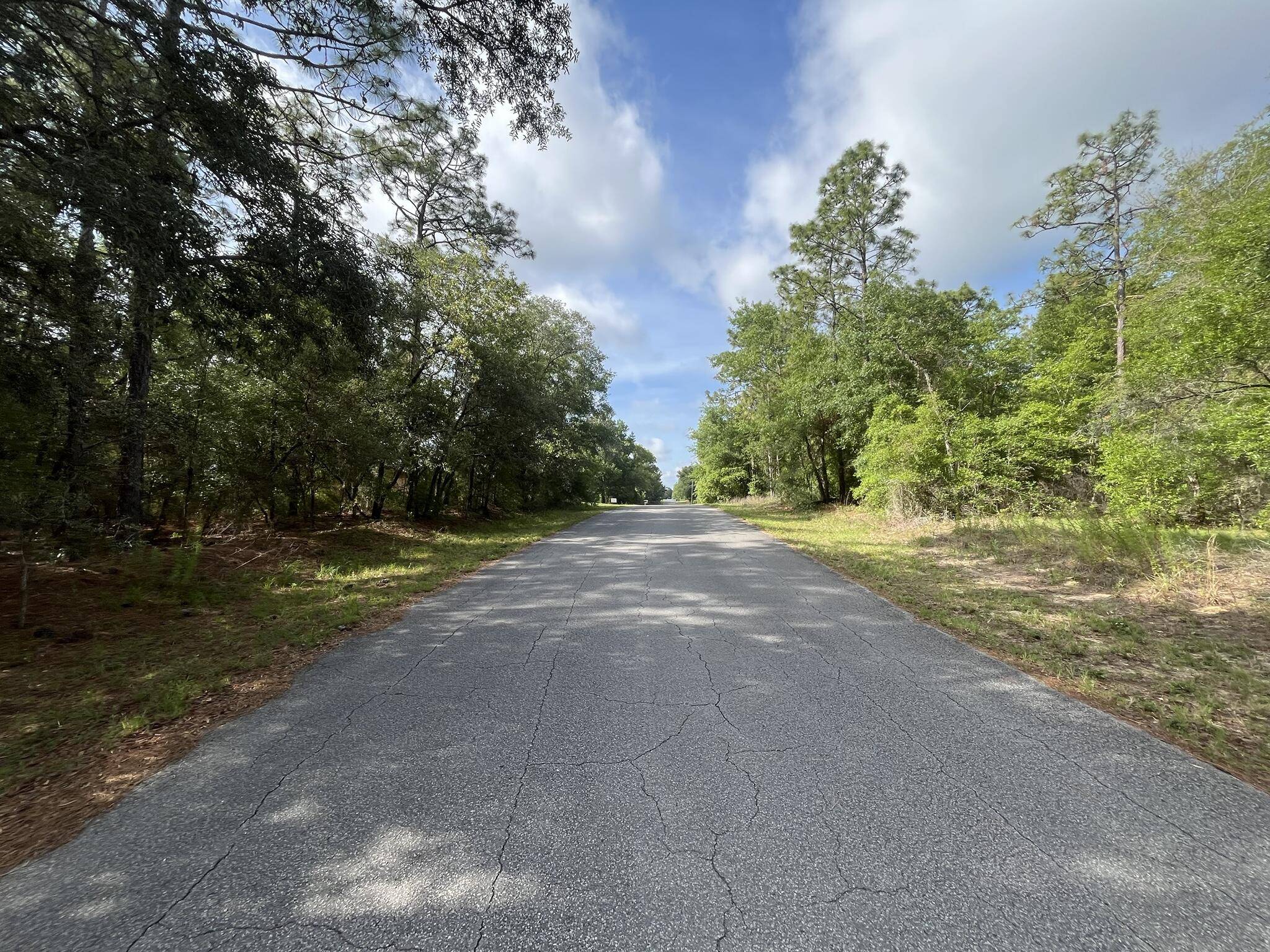 Dunnellon, FL 34431,0 SW 201st CIR