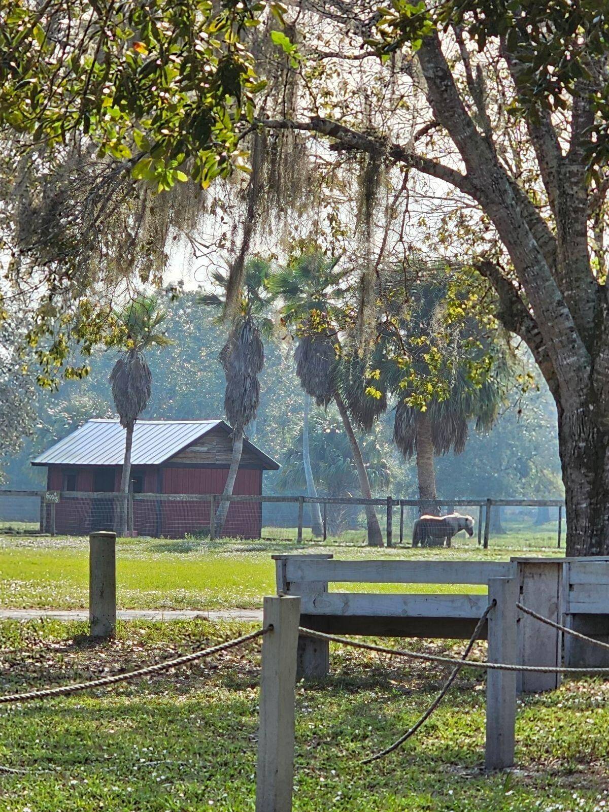 Indiantown, FL 34956,9601 SW Fox Brown RD