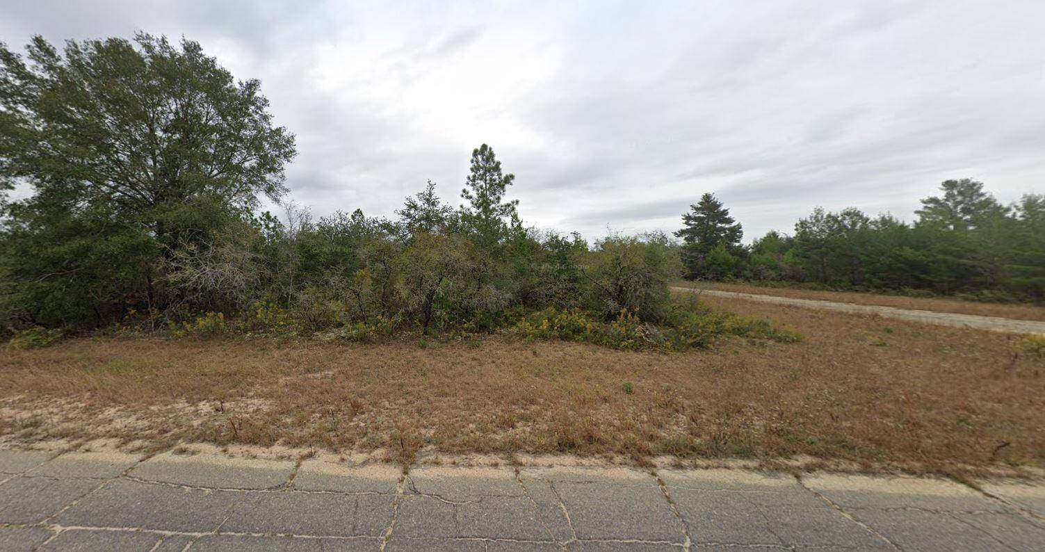 Chipley, FL 32428,Tbd Newmark, #25 AVE